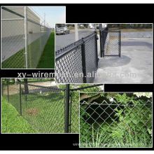 Beautiful Grid Wire Mesh Fence (25 ans Fabricant)